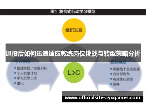 退役后如何迅速适应教练岗位挑战与转型策略分析 退役后如何迅速适应教练岗位挑战与转型策略分析